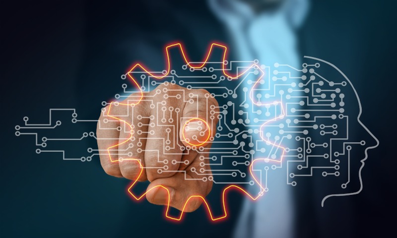 Business Special Offer